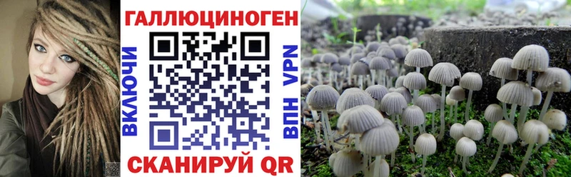 Галлюциногенные грибы MAGIC MUSHROOMS  darknet формула  Красавино 